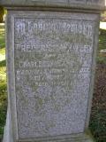 image of grave number 43370